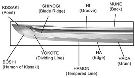 shinogi katana